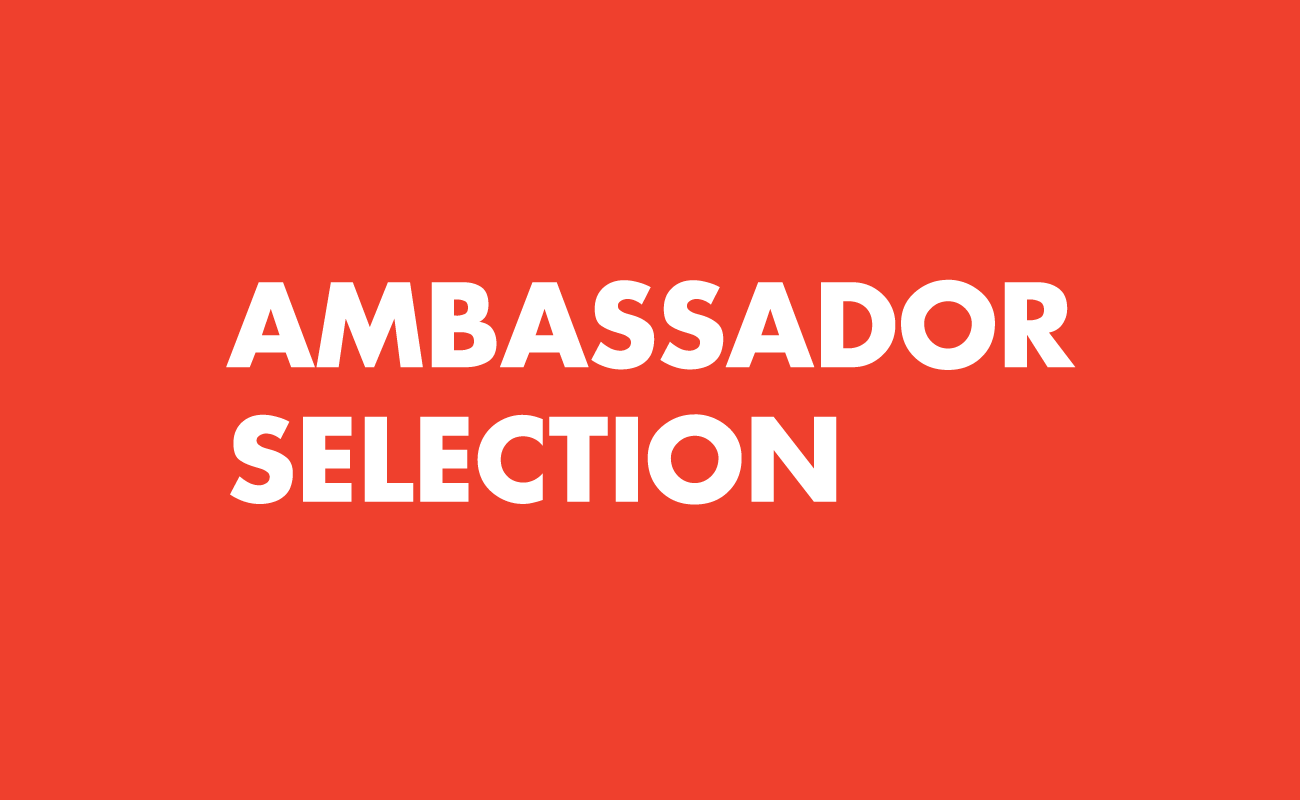 Ambassador Selection | Arte Laguna World