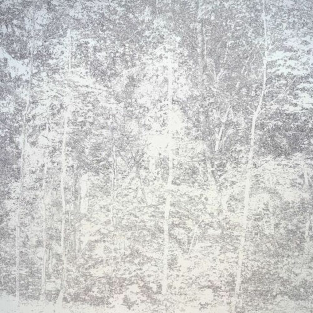 forest1-massa-1080