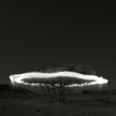 Ugo Ricciardi  – Acacia#1. East Sahara
