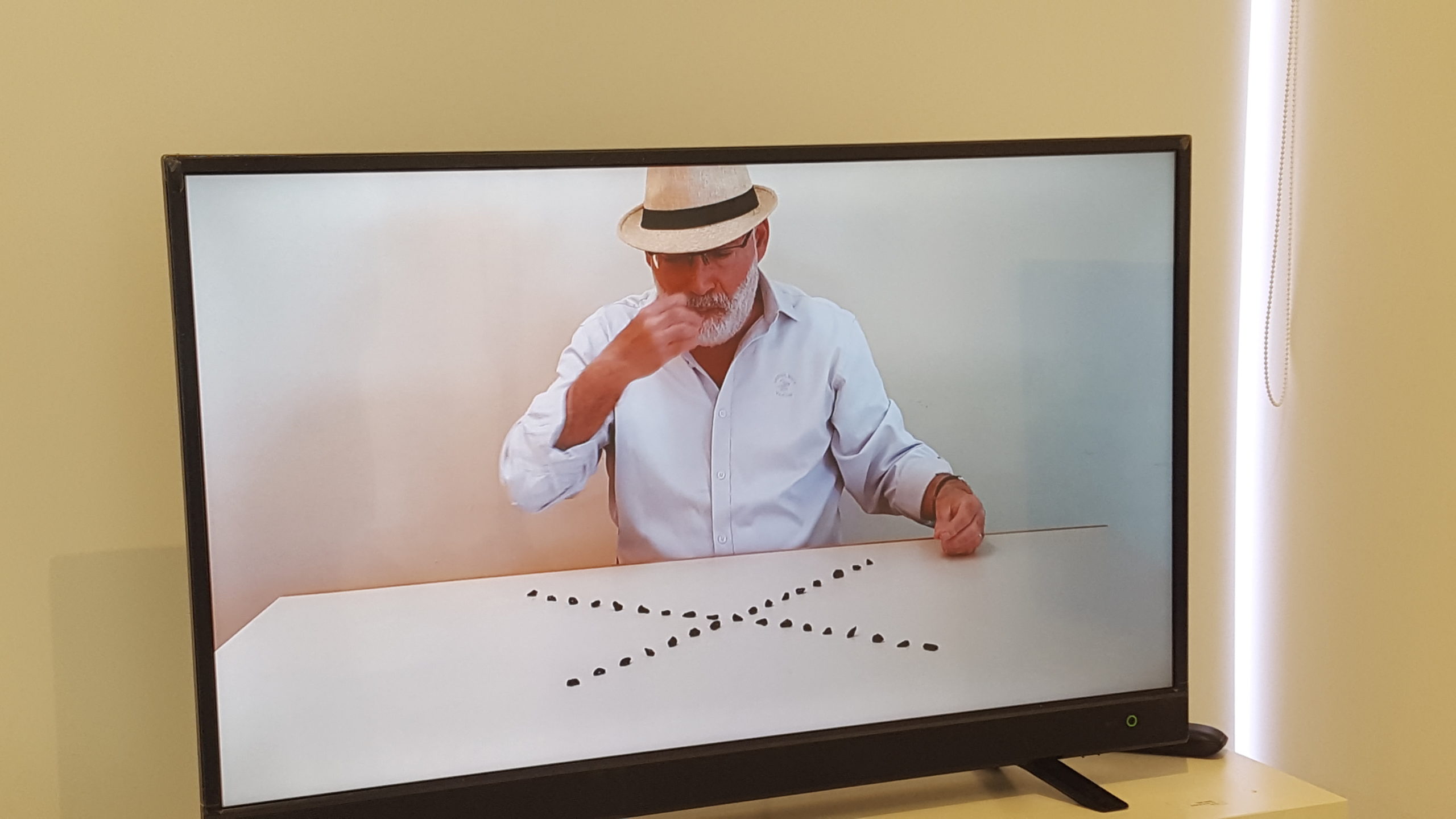 words of wisdom - pro free speech video art work Moshe Vollach | Arte Laguna Prize